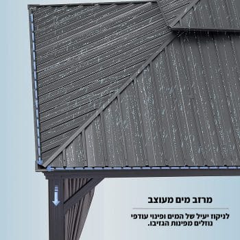 כללי (11)