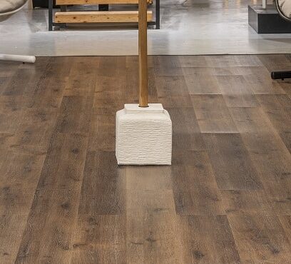 בסיס שמשייה אינדו