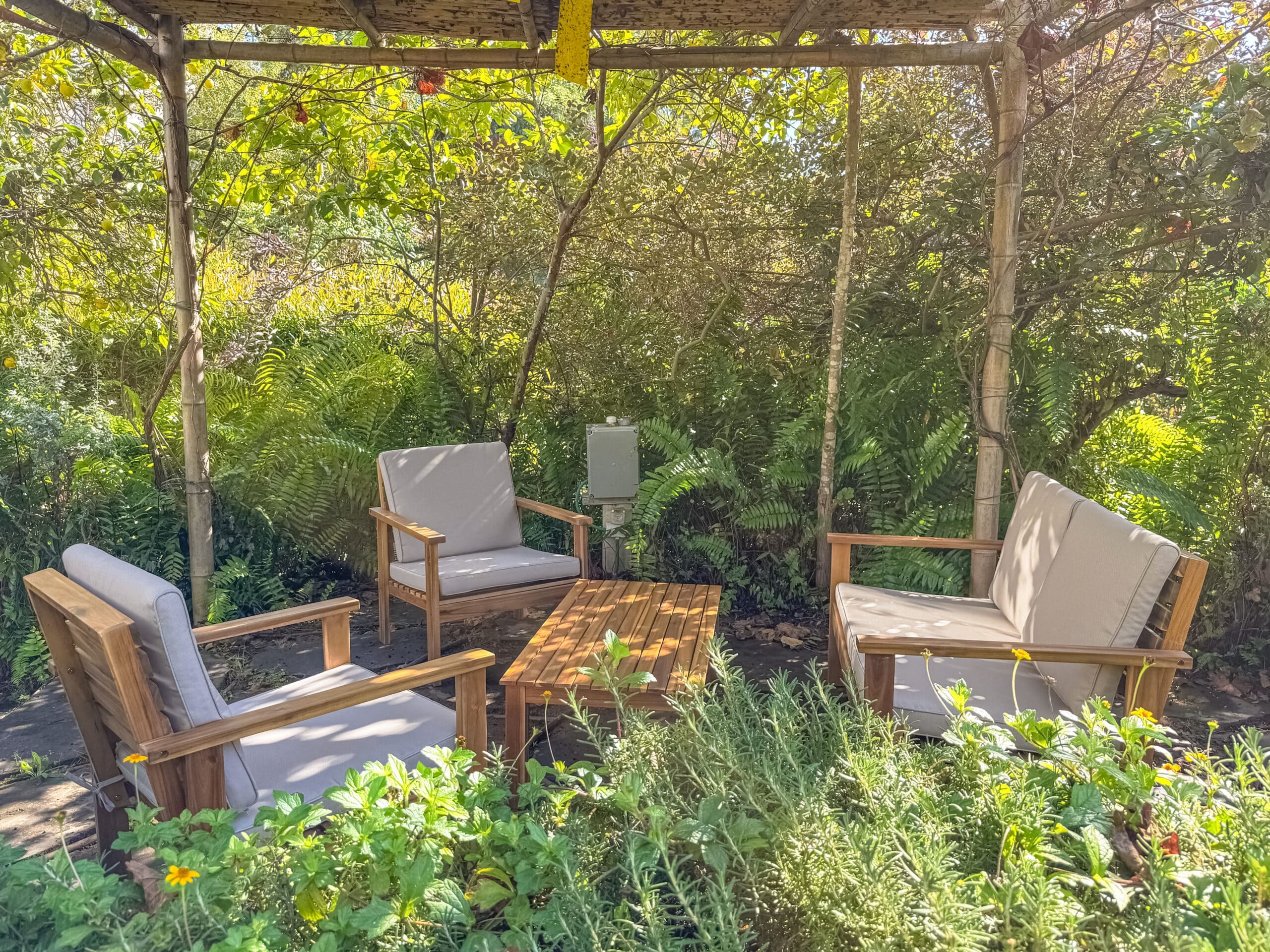 20251209-1-1-scaled-1-4