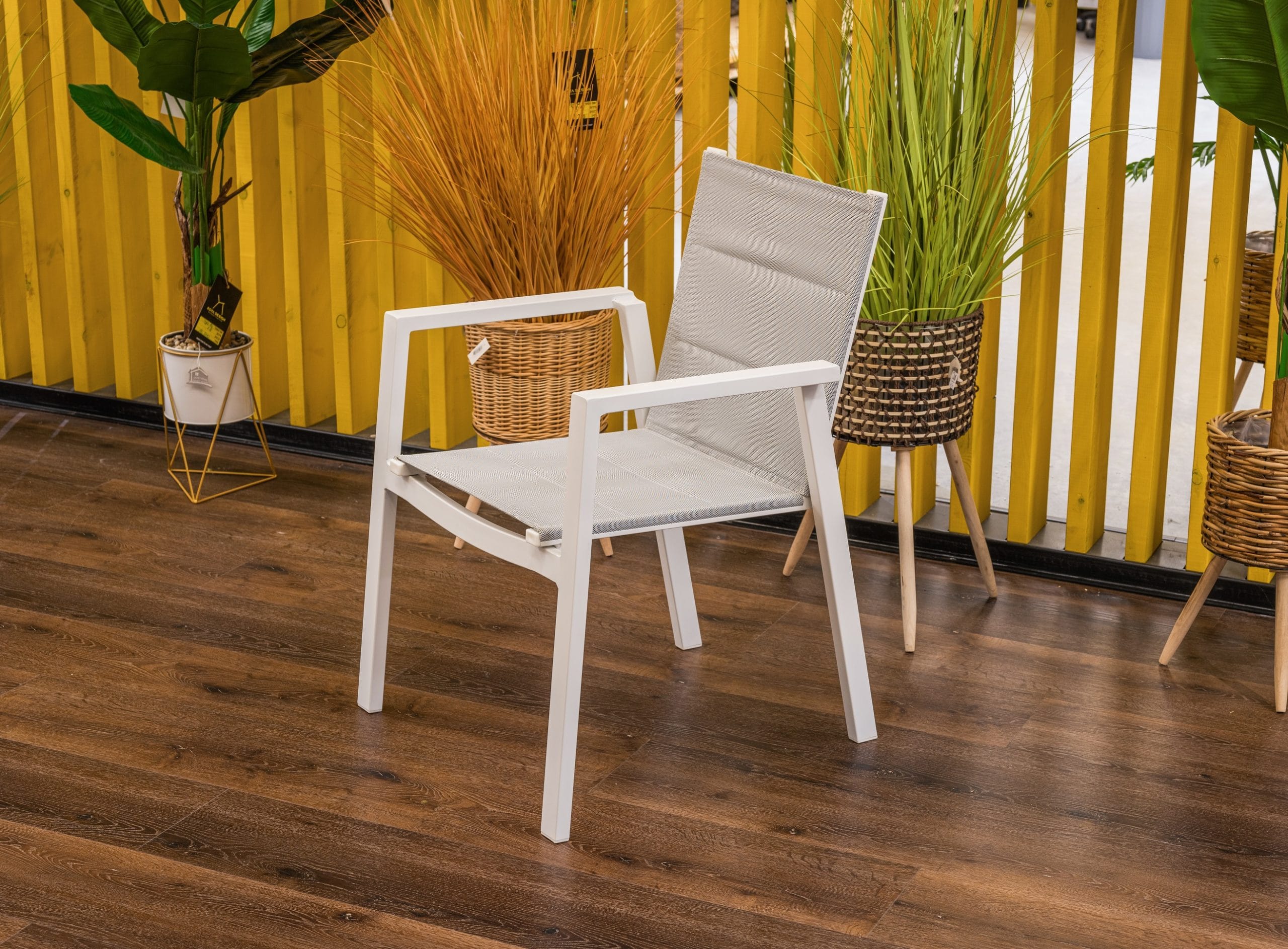 20251209-1-scaled-2-2