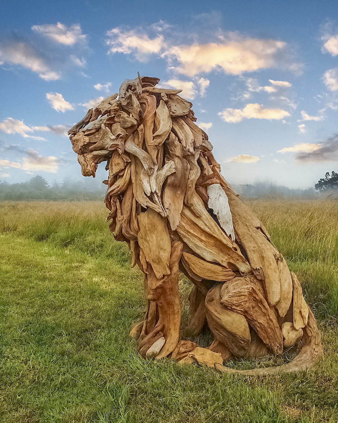 20251209-120190480-2367923036696271-7665855386808070379-n-1