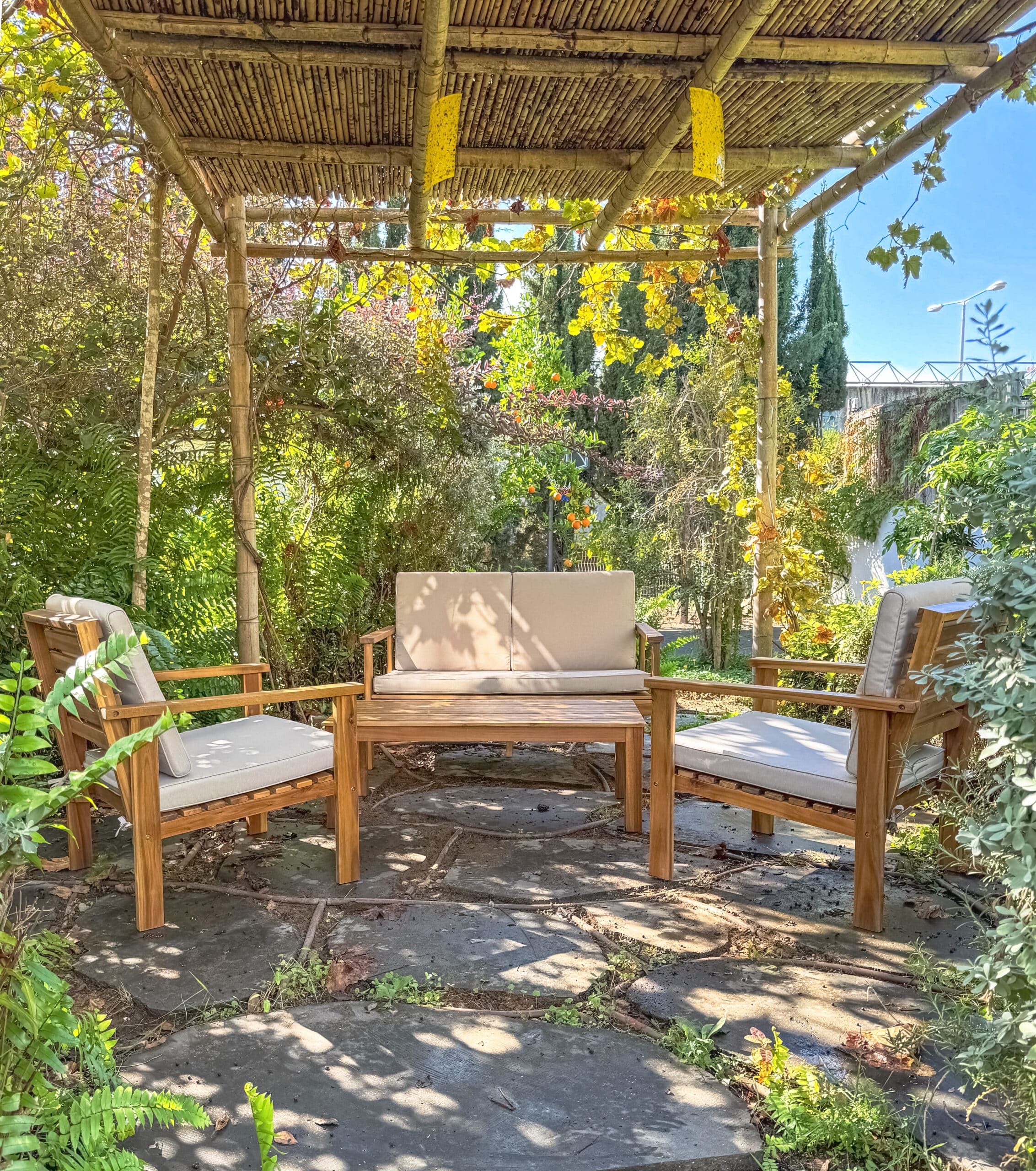 20251209-2-1-scaled-1-2