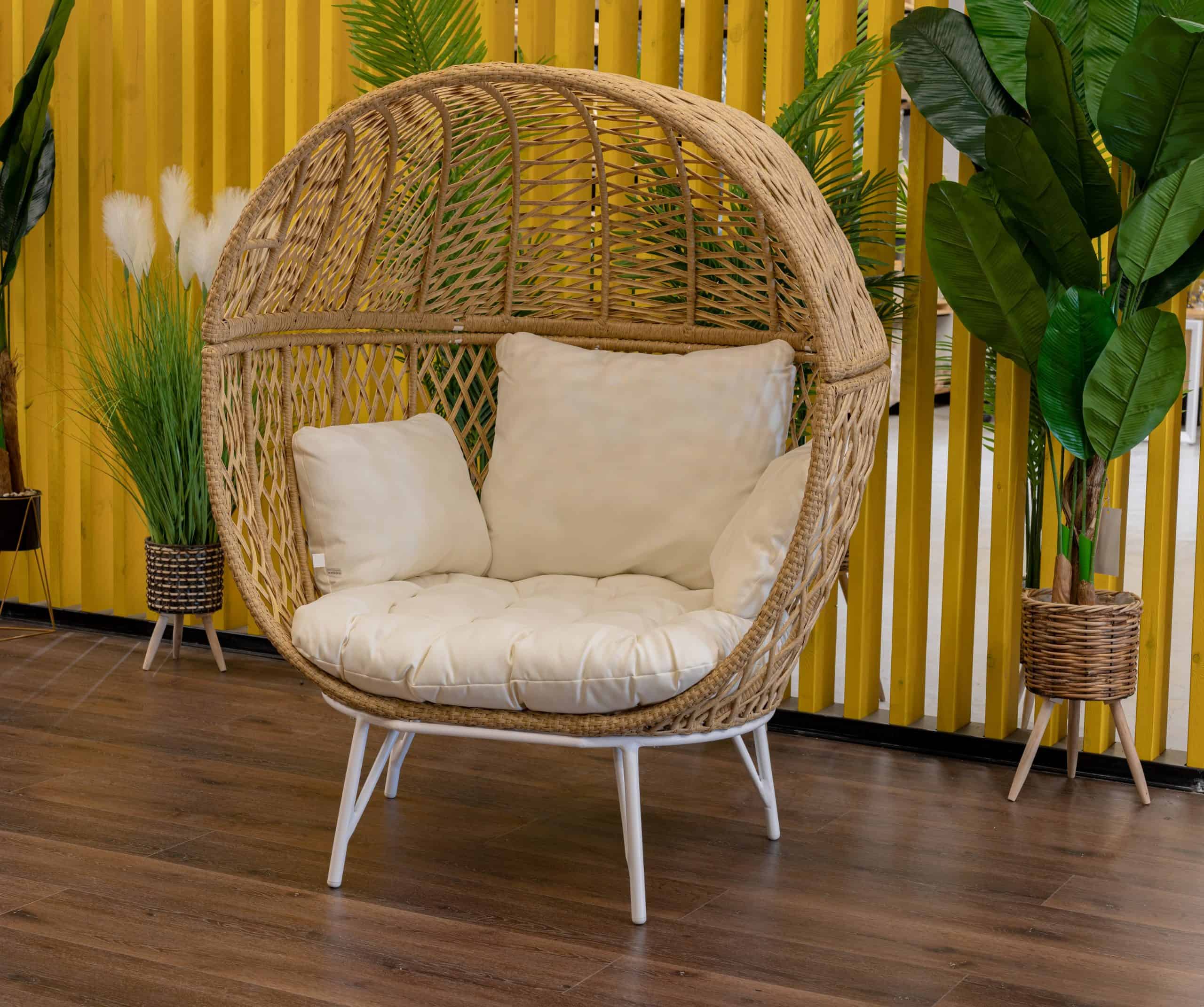 20251209-2-1-scaled-2