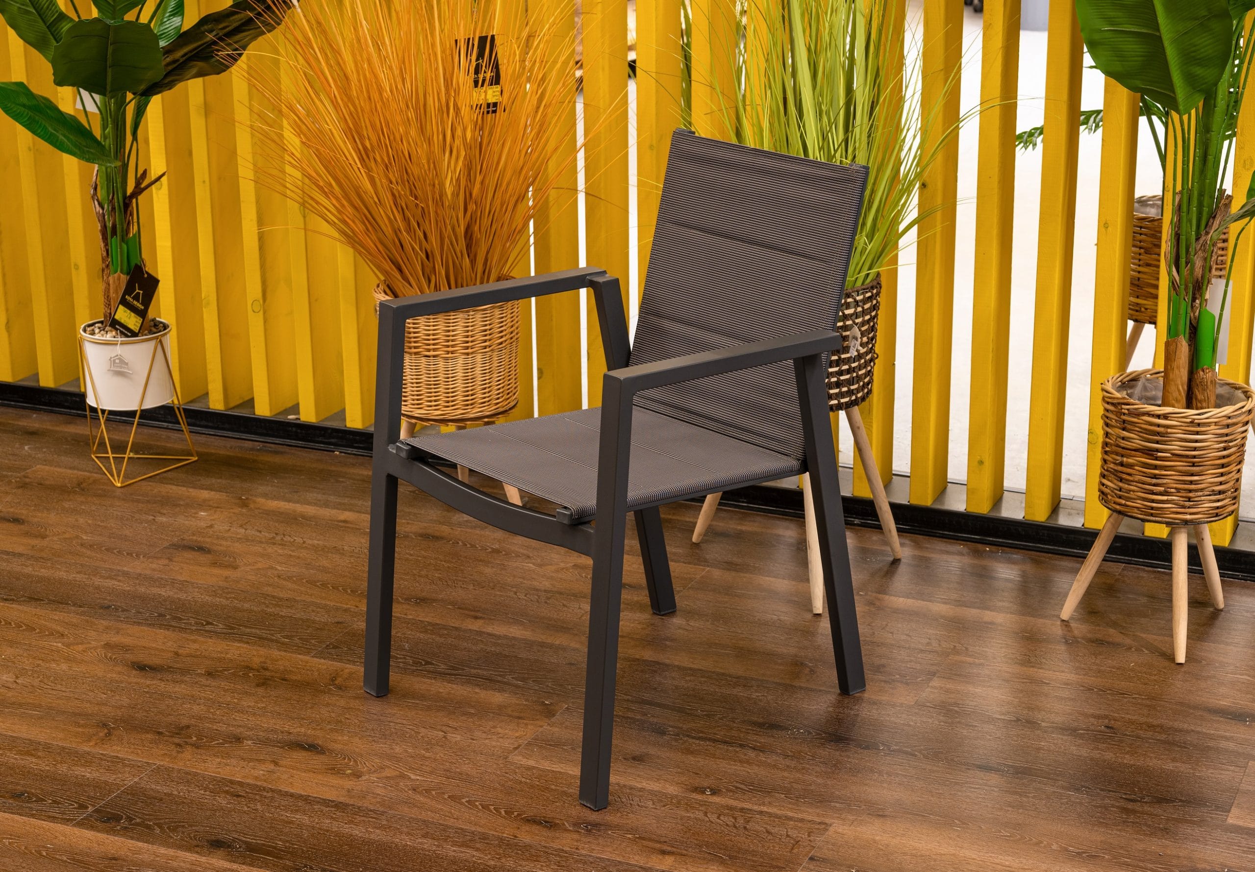 20251209-2-scaled-2-2