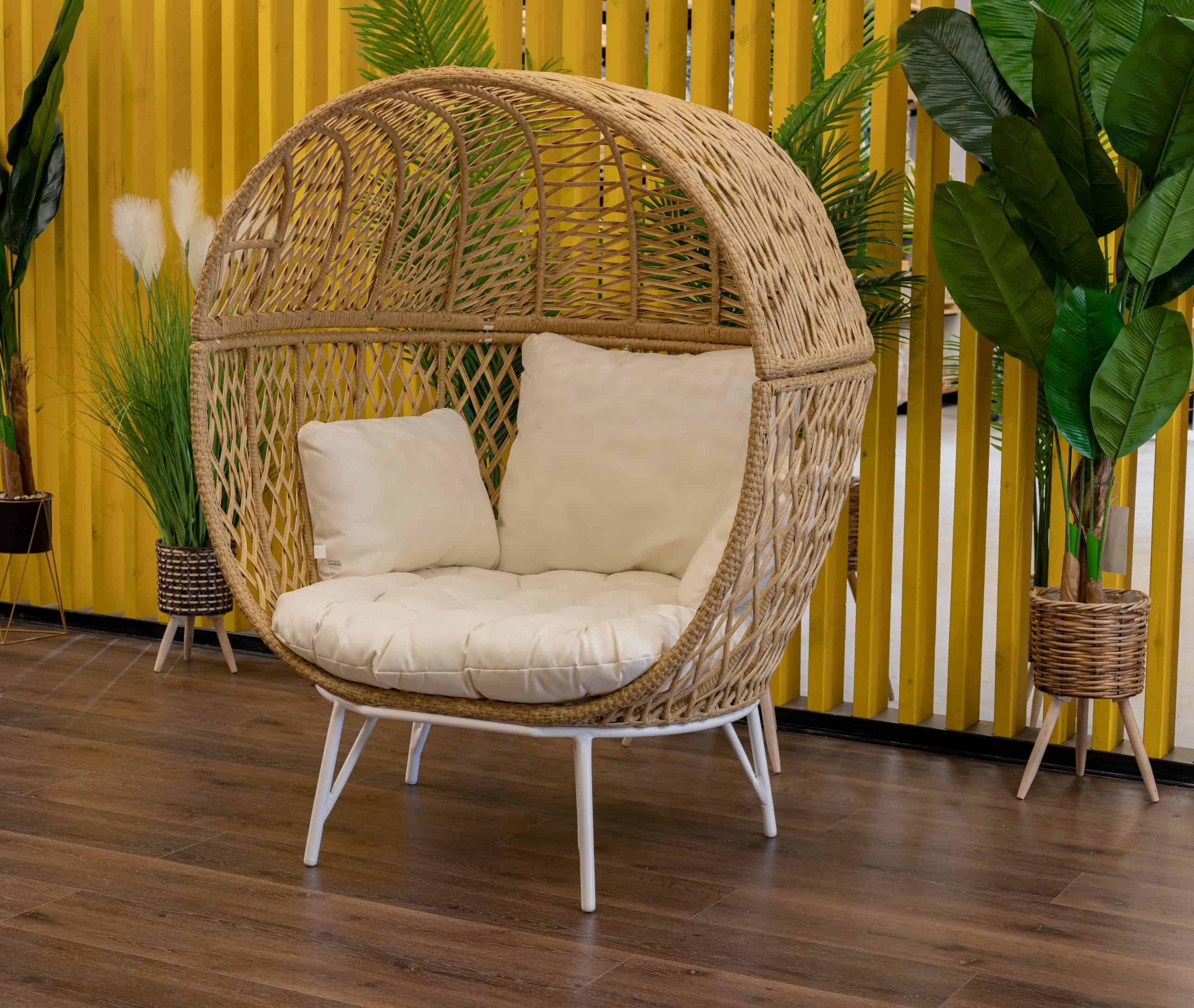 20251209-4-scaled-1-1