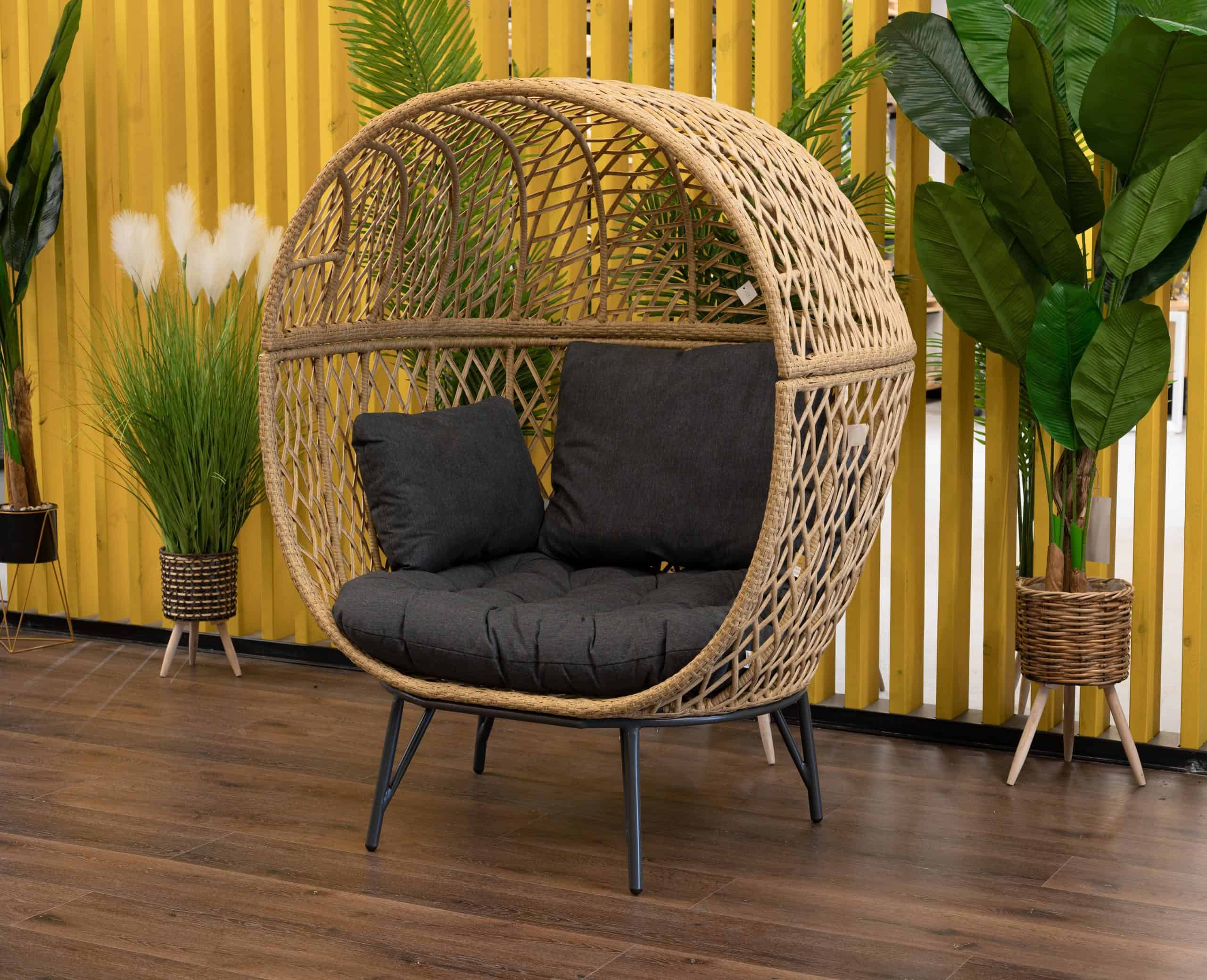 20251209-5-scaled-1-1