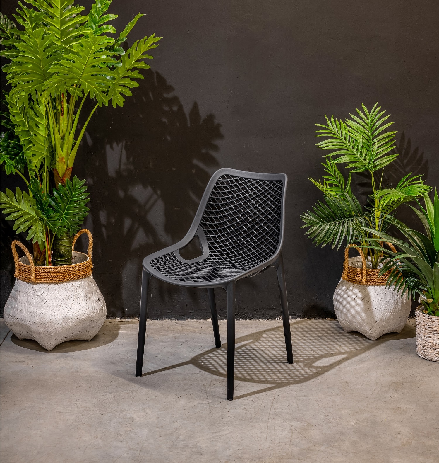 כיסא מעוצב דגם פרייד במגוון צבעים