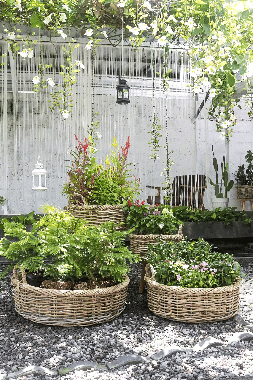 20251209-d40100680078