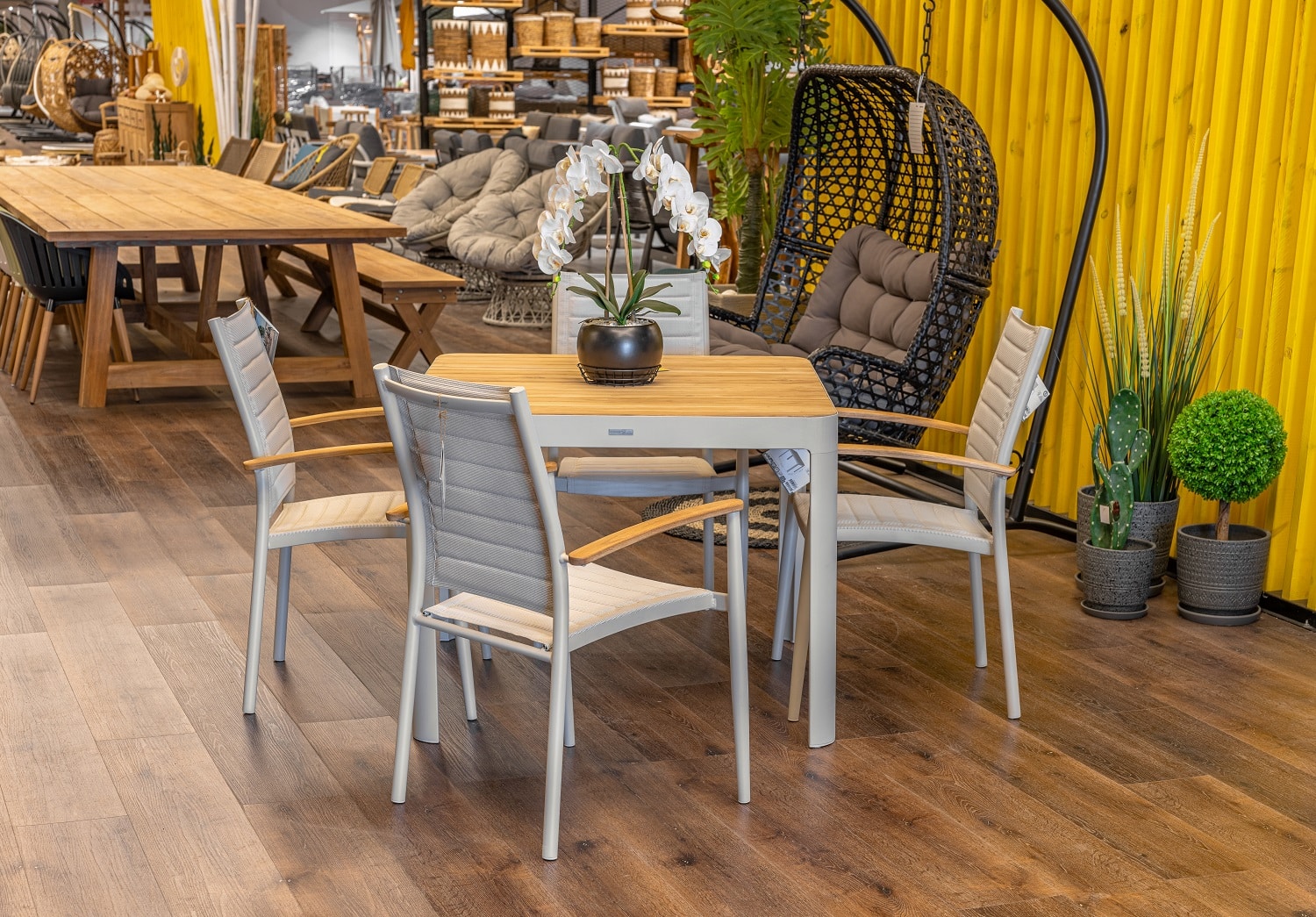 20251209-dsc-0443-hdr