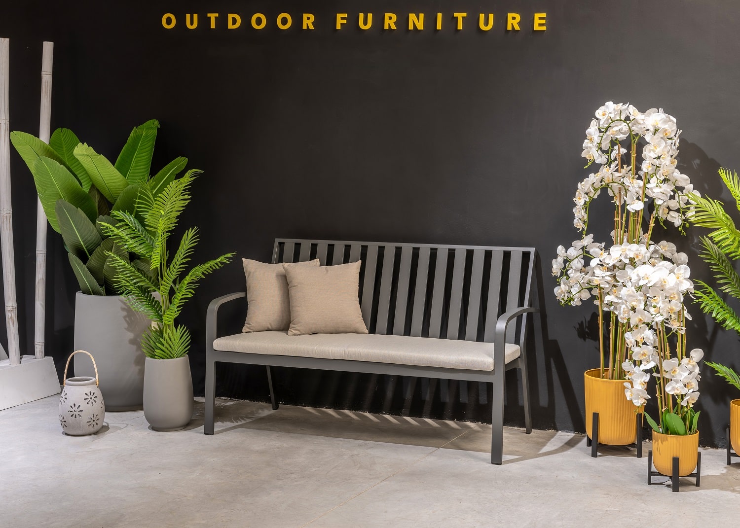 20251209-dsc-1648-hdr