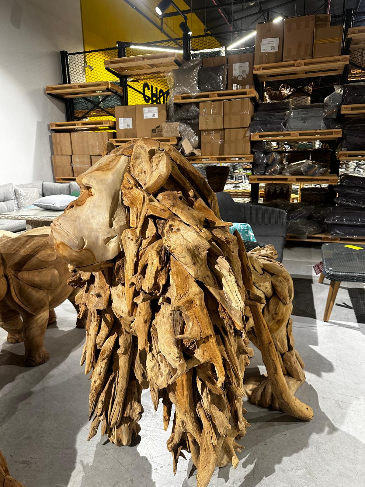 20251209-koya-xesoriz-100