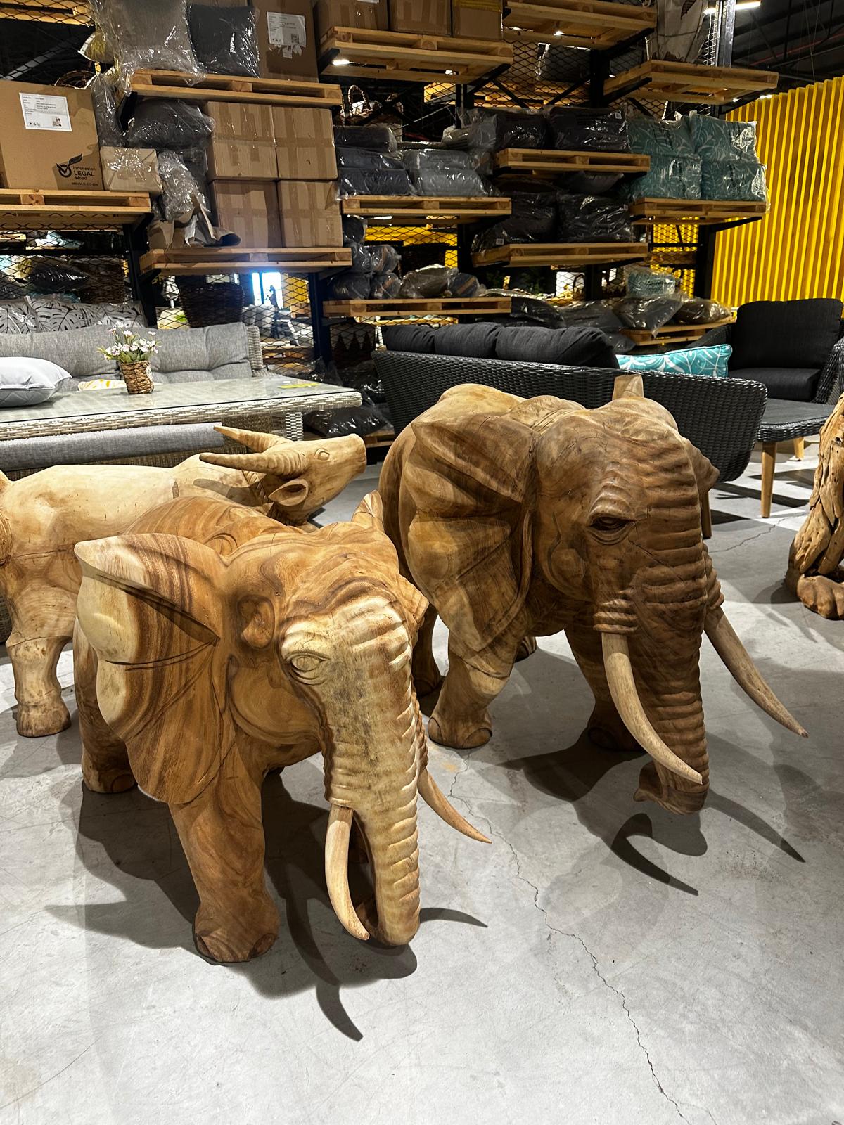 20251209-koya-xesoriz-101