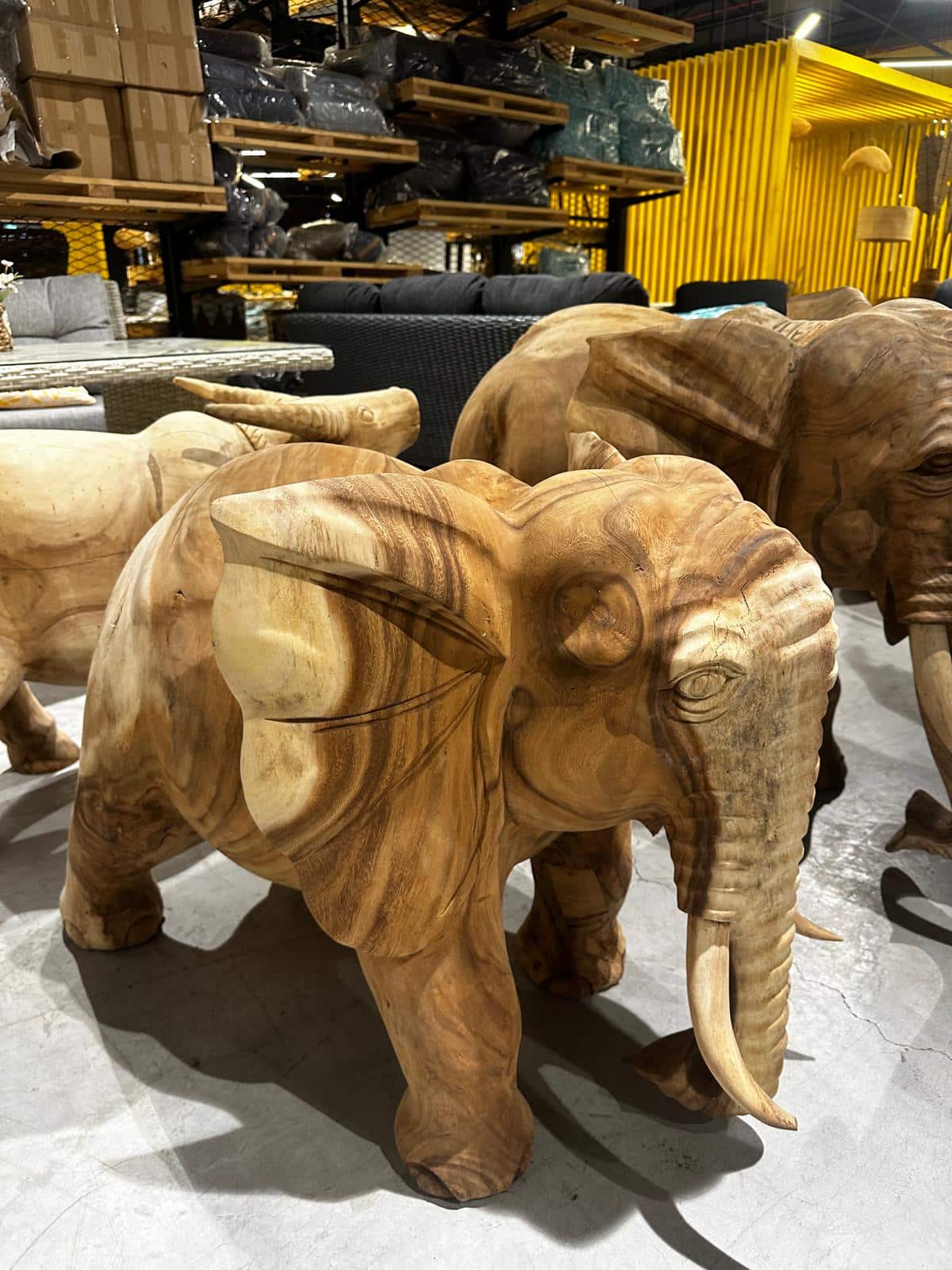 20251209-koya-xesoriz-102