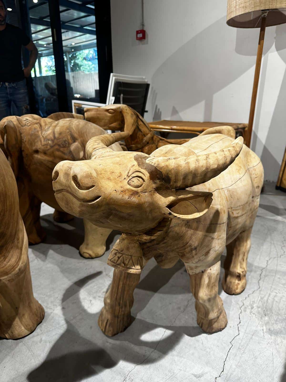 20251209-koya-xesoriz-104