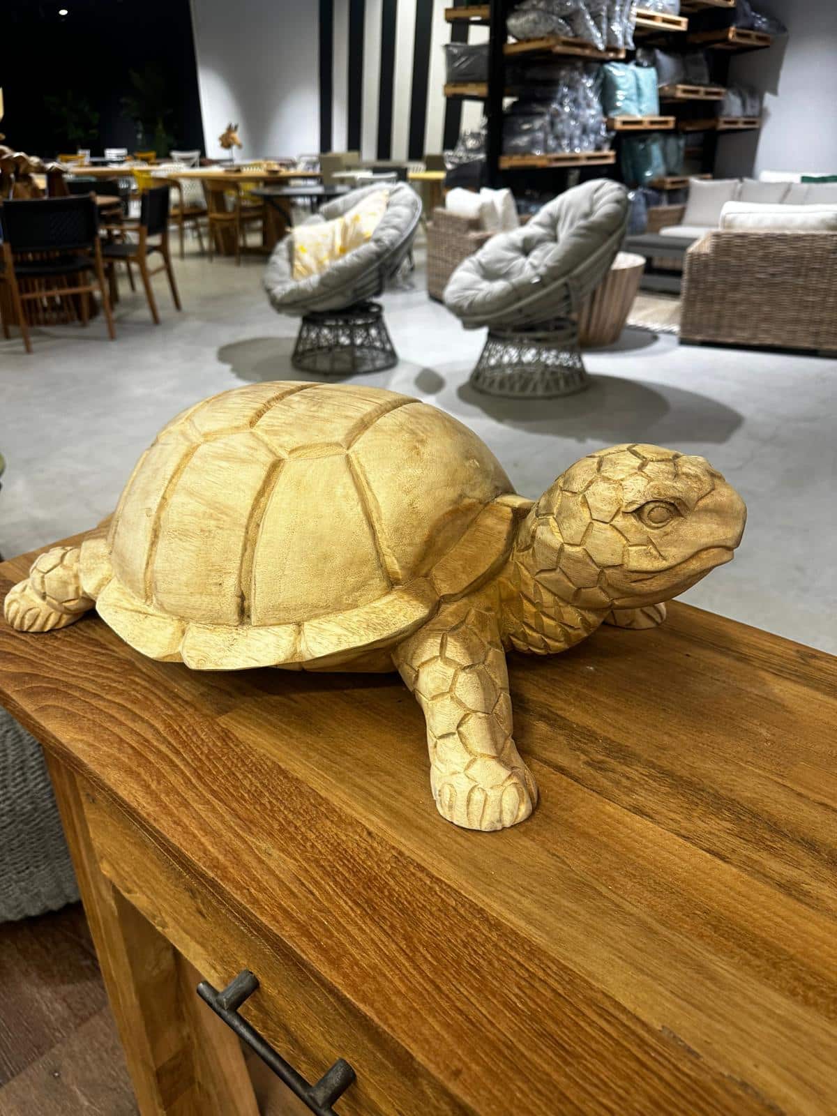 20251209-koya-xesoriz-49