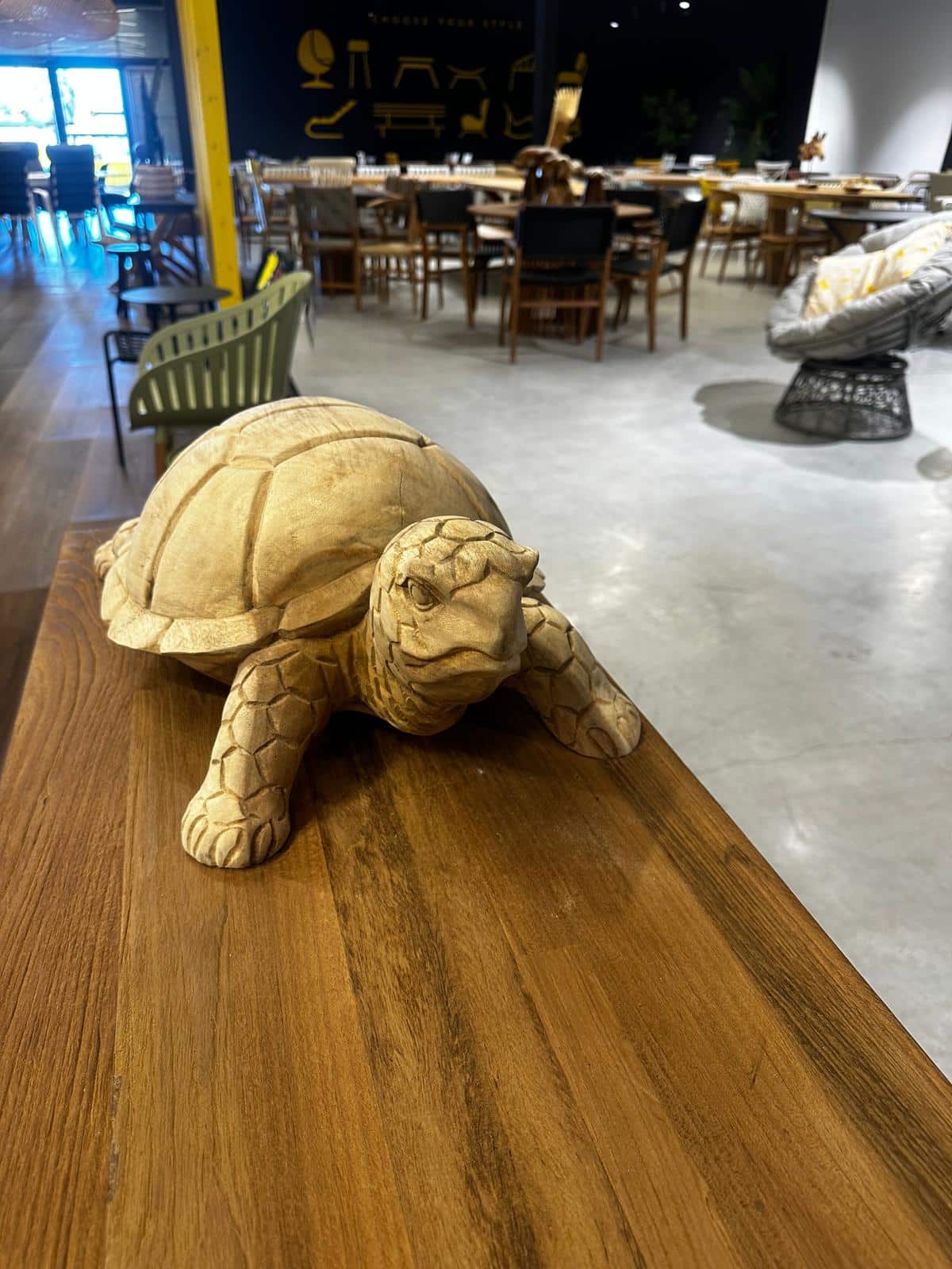 20251209-koya-xesoriz-50