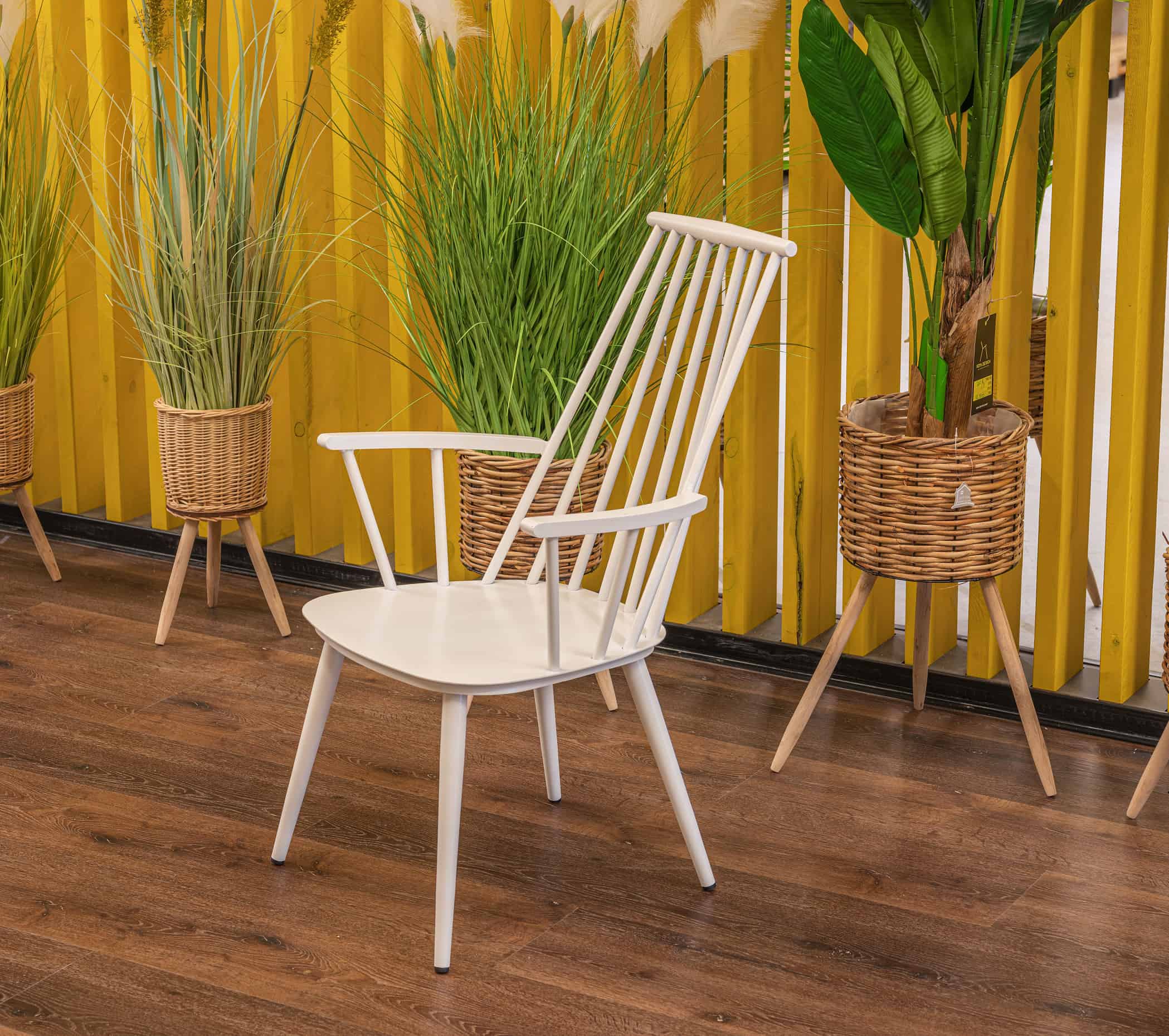 20251209-magic-lounge-1-1