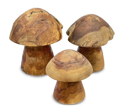 סט 3 פטריות מעוצבות מעץ טיק
