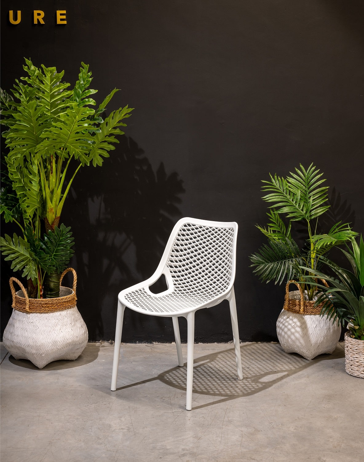 כיסא מעוצב דגם פרייד במגוון צבעים