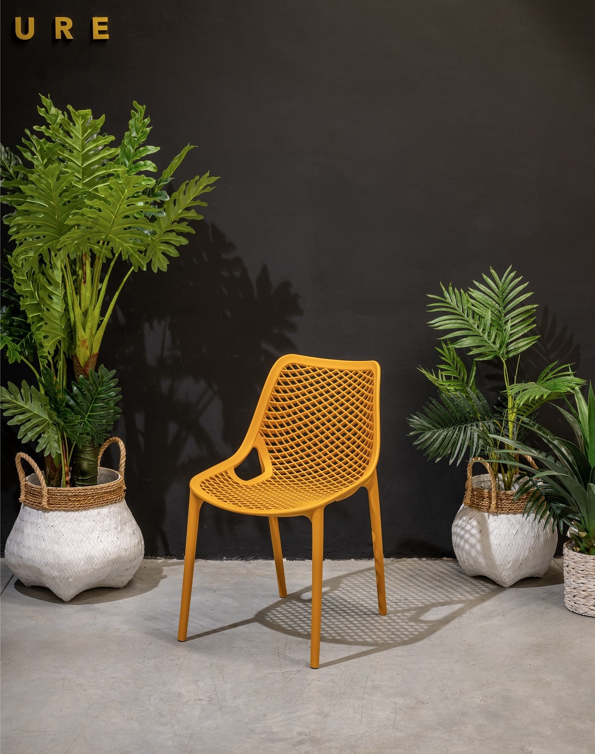 כיסא מעוצב דגם פרייד במגוון צבעים