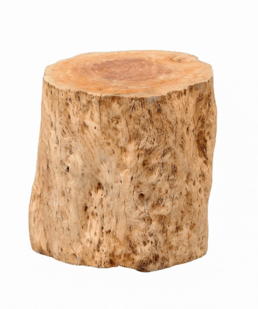 20251209-unnamed-file-139