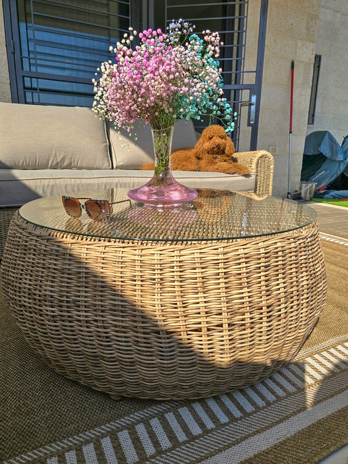 פלאיה חדש (3)