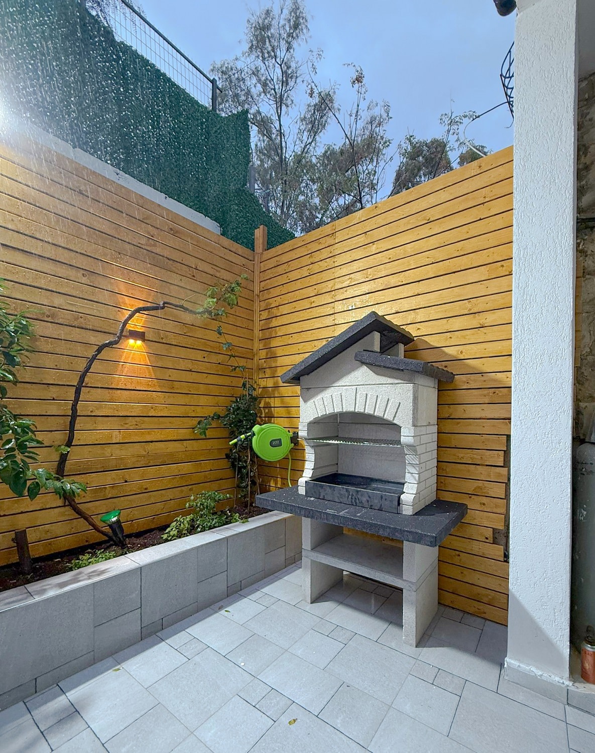 פרוסידה 1 (2)