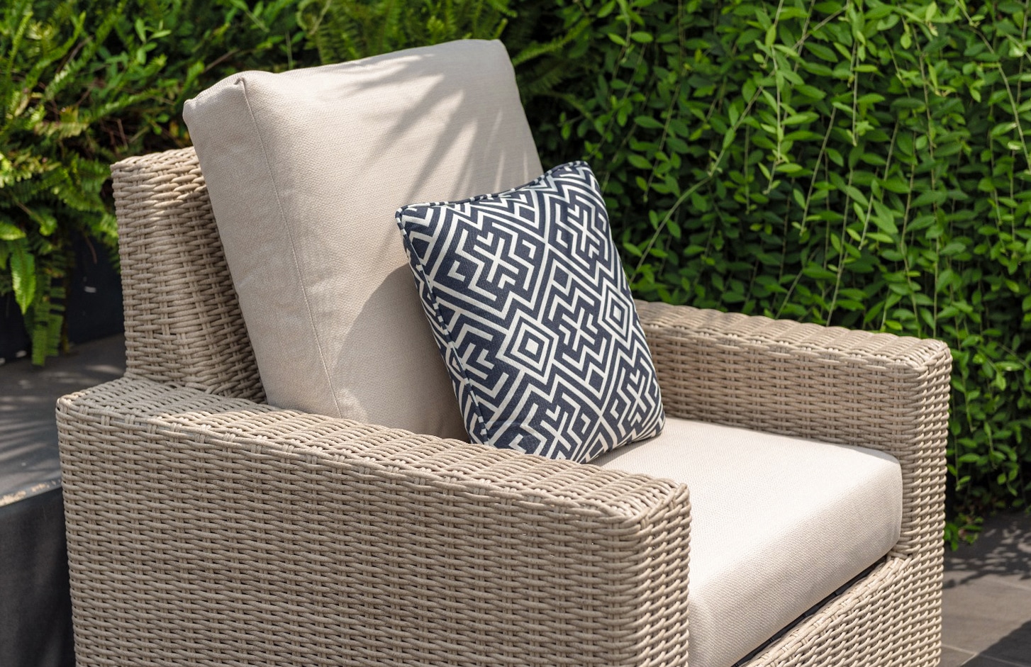 20251209-img-20241213-wa0032-1