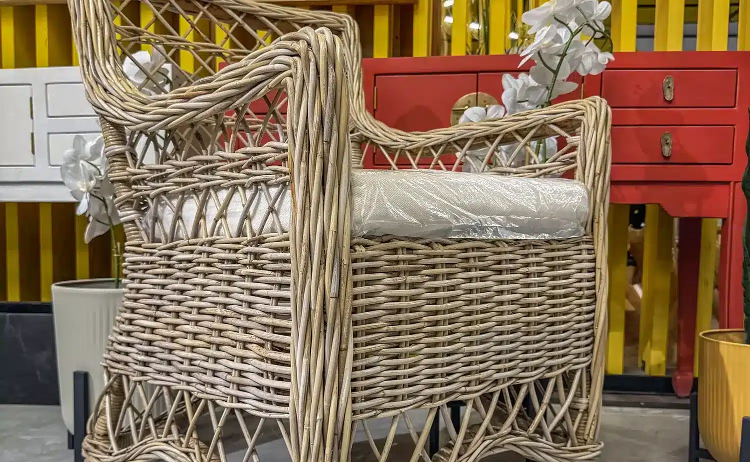 20251209-4-1-scaled-1