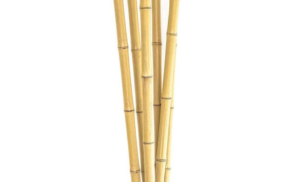 מוט במבוק 5.6 קוטר במגוון גדלים