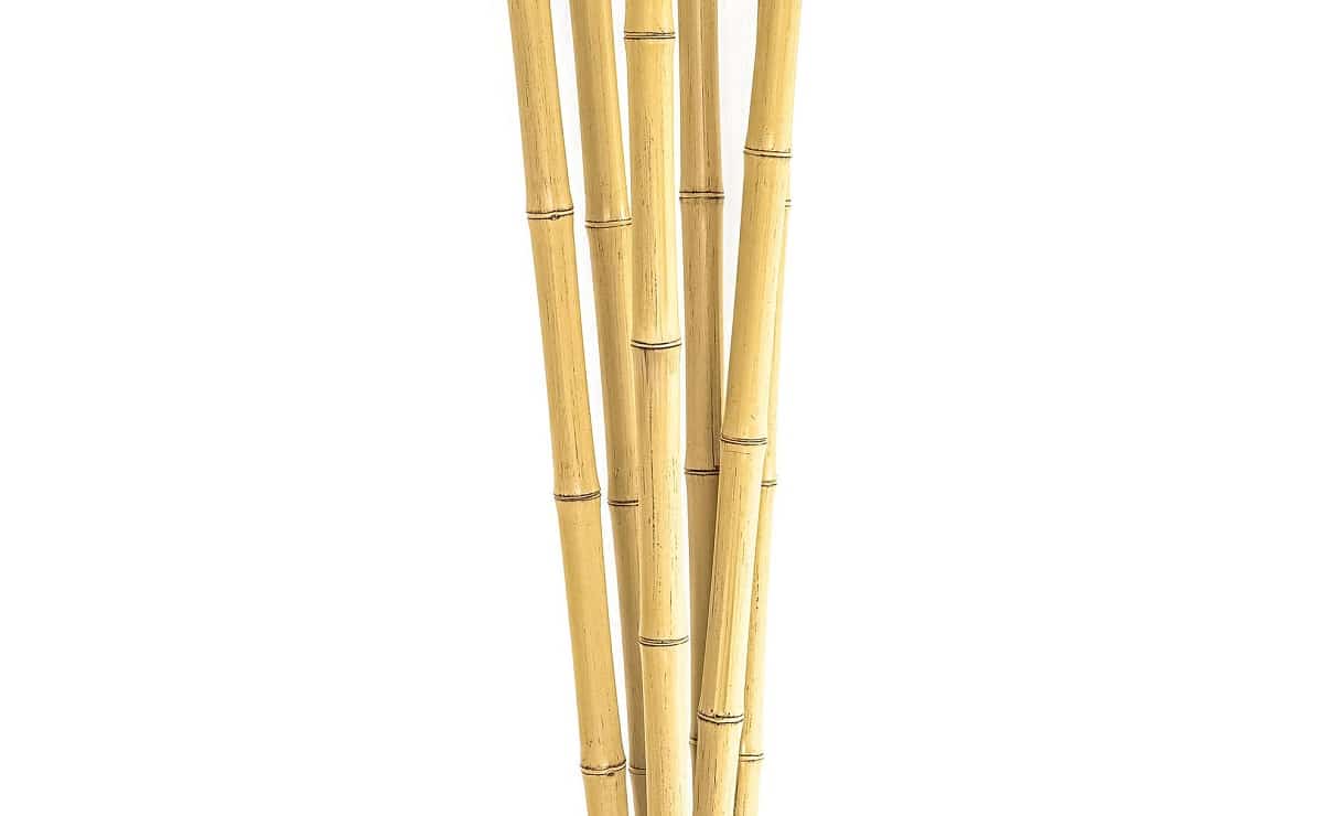 20251209-bmbvk-rashi