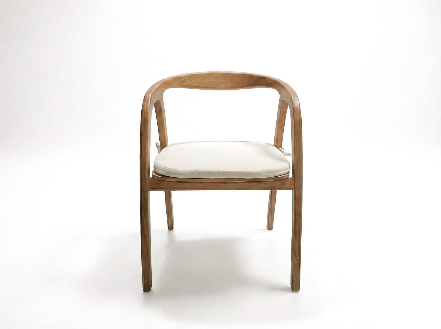 20260127-pani-1-copy